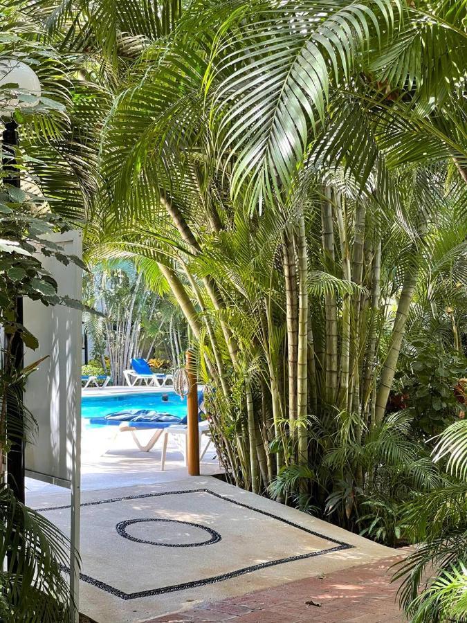 The Best Of Marbella Puerto Vallarta Exterior foto